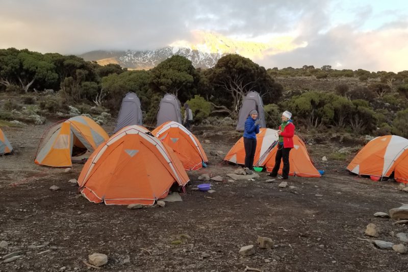 8 Days Lemosho Route Kilimanjaro Climb