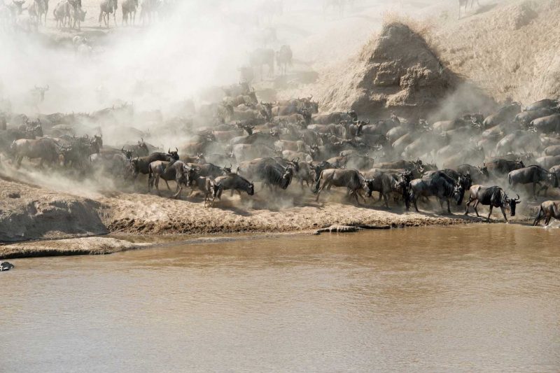 7 Days Northern Tanzania Budget Safari