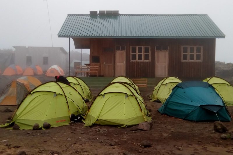 6 Days Rongai Route Kilimanjaro Climb