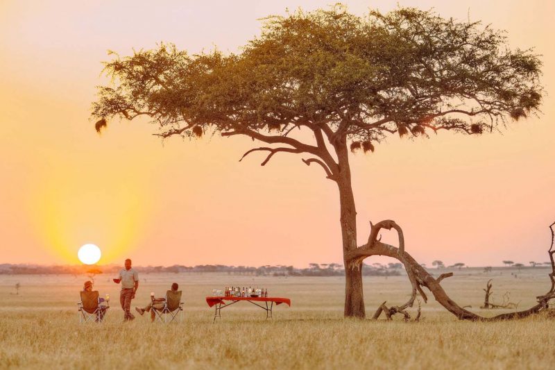 5 Days Southern Tanzania Safari