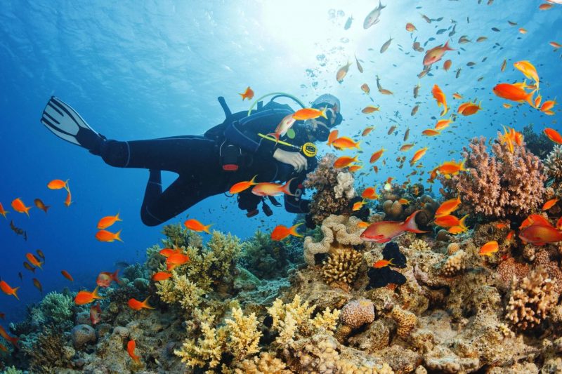 5 Days Zanzibar Beach Holidays and Tours